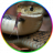 SaltySnake