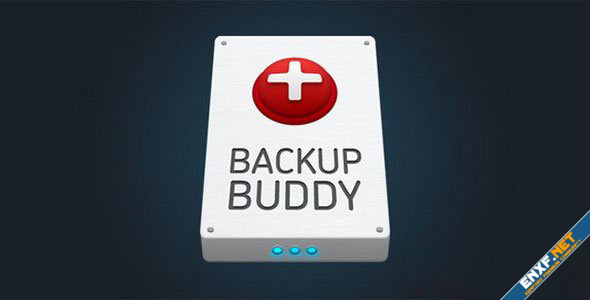 1587705714_backupbuddy.jpg