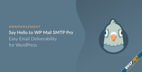 1689903307_wp-mail-smtp-pro.jpg
