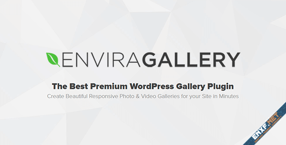envira-gallery.png