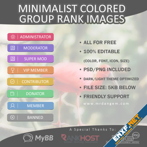minimalist colored group rank images cover.jpg