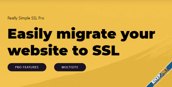 really-simple-ssl-pro.png