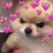 Shoto