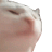 dexasz