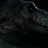 Rexy