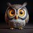 hxnowl